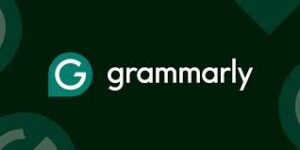Grammarly 1 Months